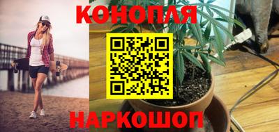 гидропоника Шахты